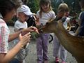 Tierpark Goldau_04